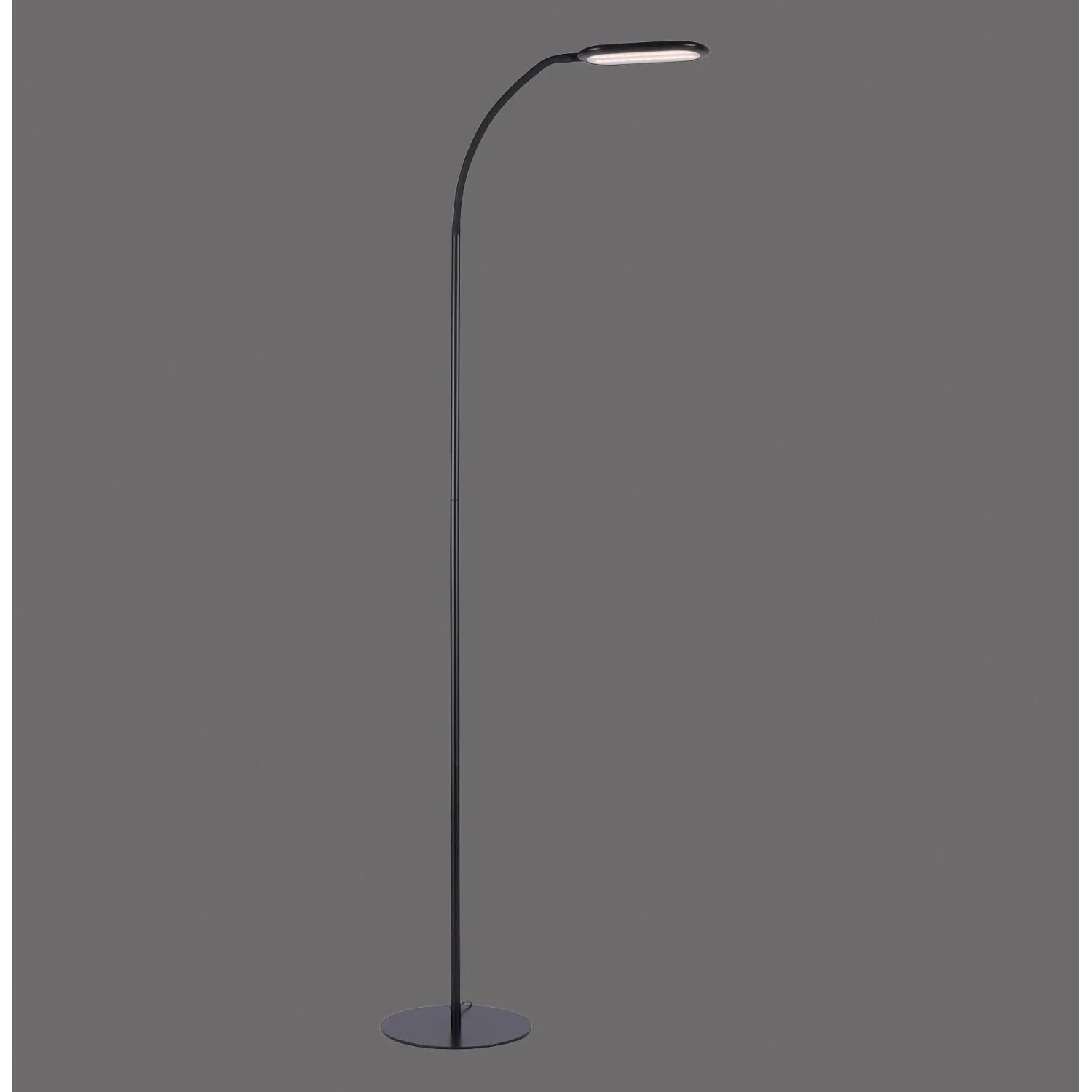 Schwarze LED Stehleuchte Kelly, 175cm hoch, dimmbar und mit verstellbarer Lichtfarbe.