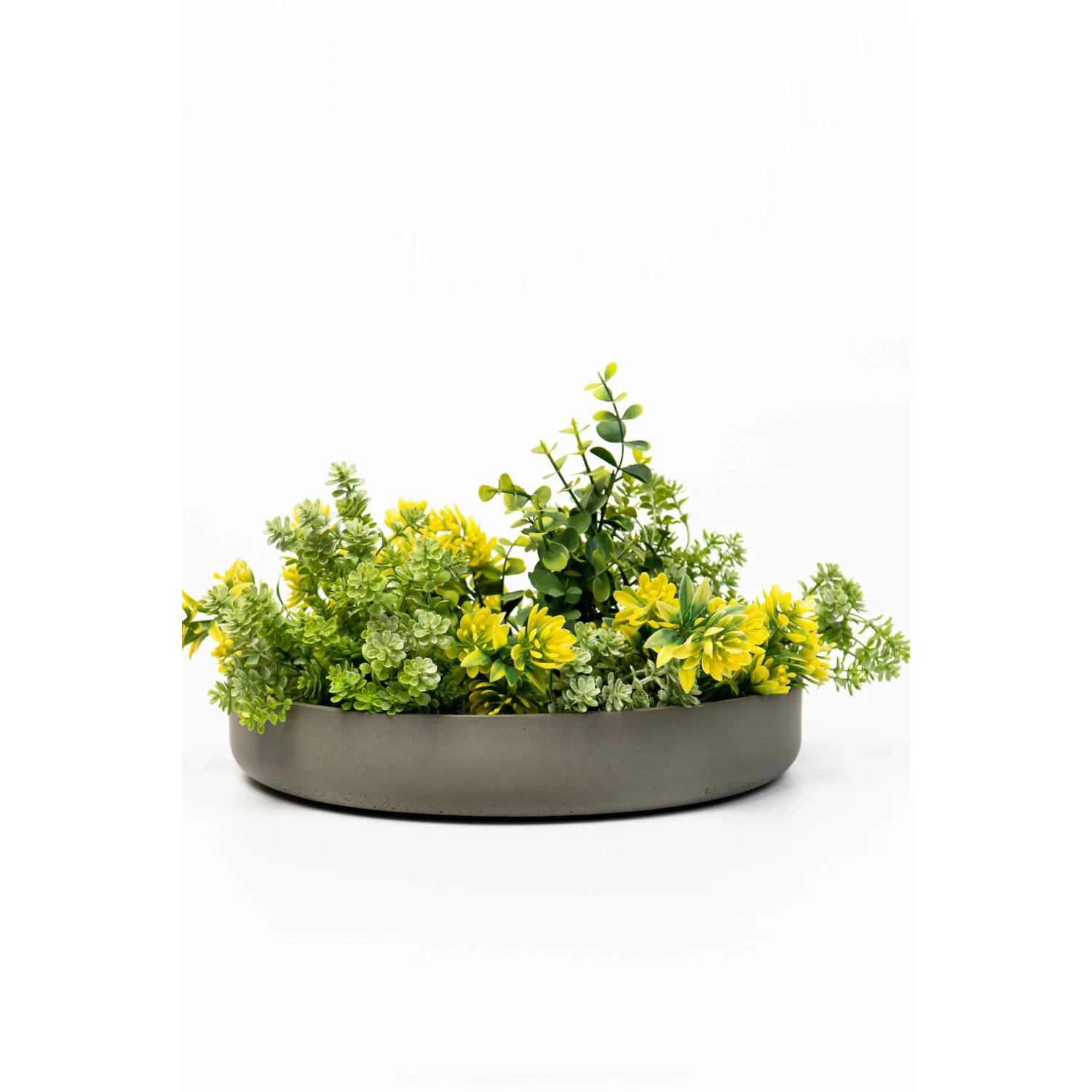 VIVANNO Pflanzschale ORYVEN, 34 cm, betongrau, mit gelb-grünen Pflanzen.