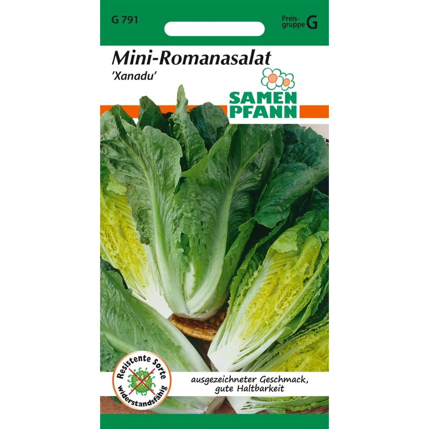 SAMEN PFANN Mini-Romanasalat Xanadu