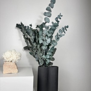 Lykke&You Konservierter Eukalyptus Cinerea