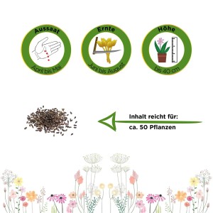 Estragon Samen: Aussaat, Ernte, Höhe und Inhalt für ca. 50 Pflanzen.