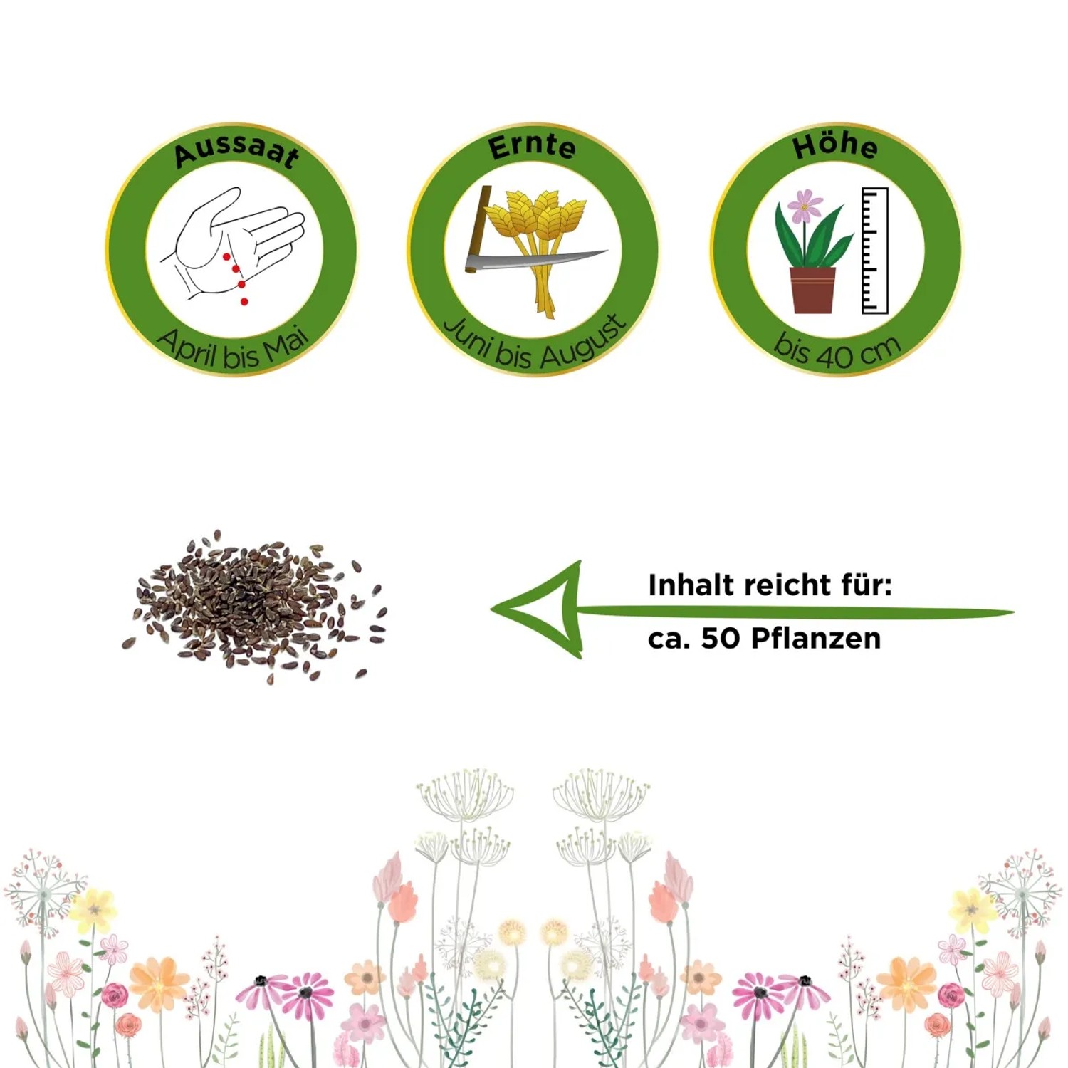 Estragon Samen: Aussaat, Ernte, Höhe und Inhalt für ca. 50 Pflanzen.