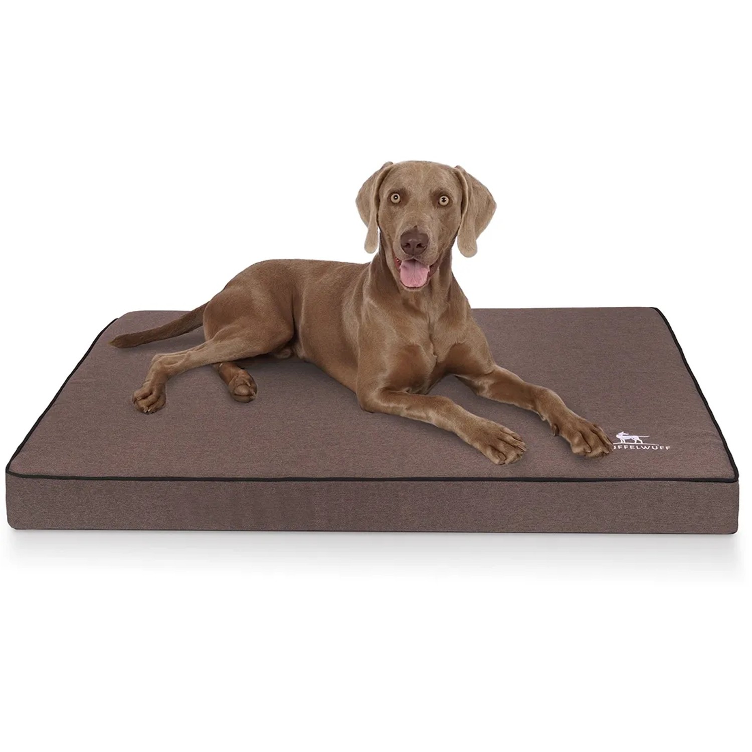 hunde orthopädie bett Orthopädisches Hundebett waschbar main image 0