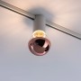 Paulmann URail Spot Ceiling Socket, weiß, mit roségoldener Kugel an Schienensystem.