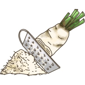 Illustration: Meerrettich wird gerieben. Blu Bio-Meerrettich, scharf-würzige Gemüseart.