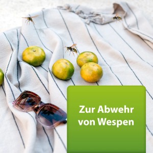 Szene mit Wespen, Mandarinen, Sonnenbrille und Ardap Repell Wespenspray zur Wespenabwehr.