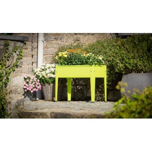 Apfelgrünes Floraworld Kinder-Hochbeet aus Metall mit Blumen bepflanzt.