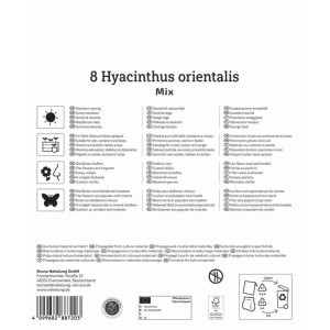 Kiepenkerl Hyazinthen-Mischung im Mega-Pack, verschiedene Farben.