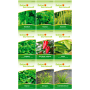 Deine Gartenwelt Grill Kräuter Samen-Set mit 9 Sorten_2