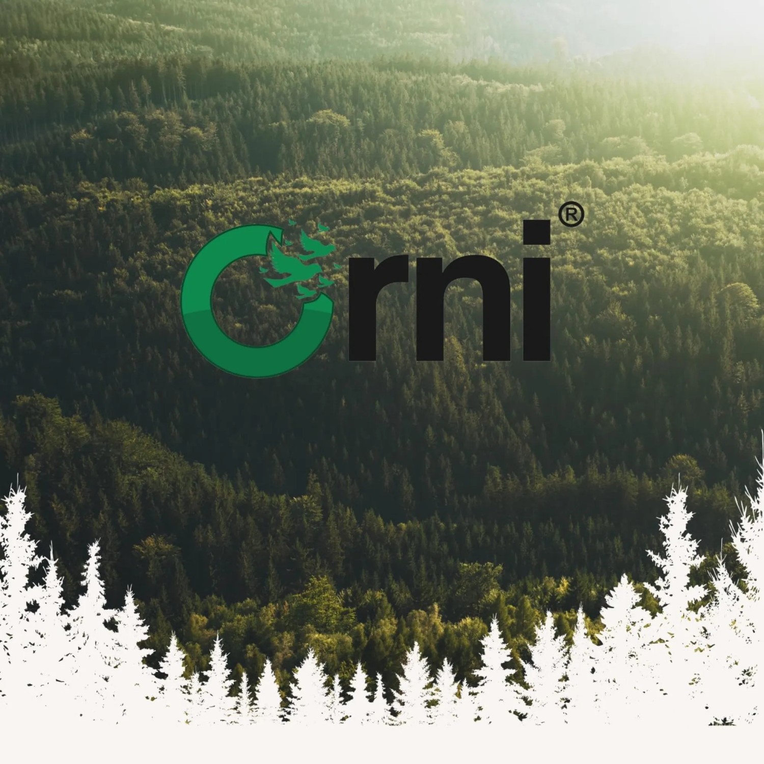 Logo von Orni Wildvogelfutter für Stieglitze vor Waldkulisse.