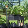 Juliana Gewächshaus Orangerie 21, schwarz-anthrazit, mit Pflanzen und Gartenzubehör im Innenraum.