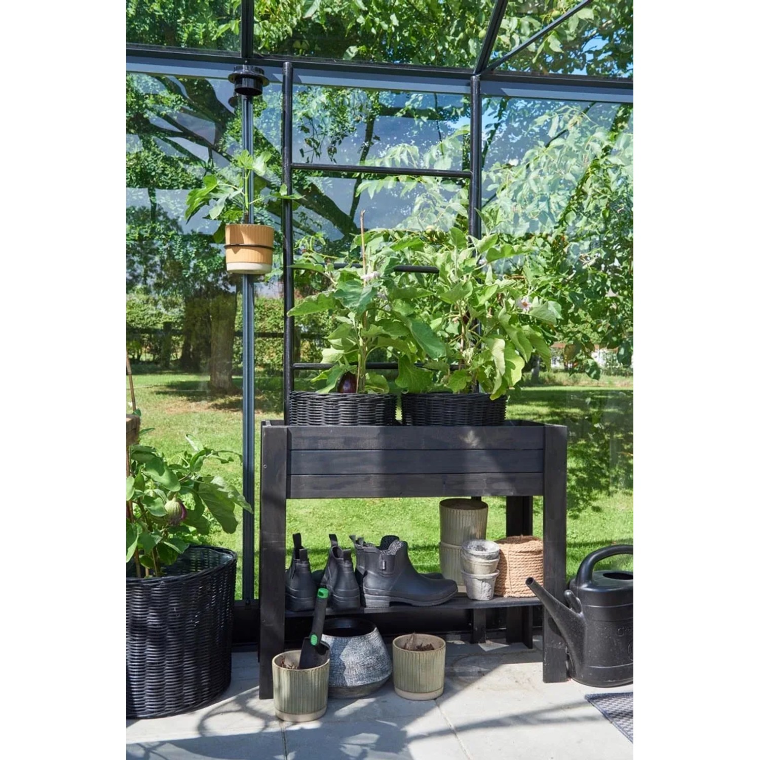 Juliana Gewächshaus Orangerie 21, schwarz-anthrazit, mit Pflanzen und Gartenzubehör im Innenraum.