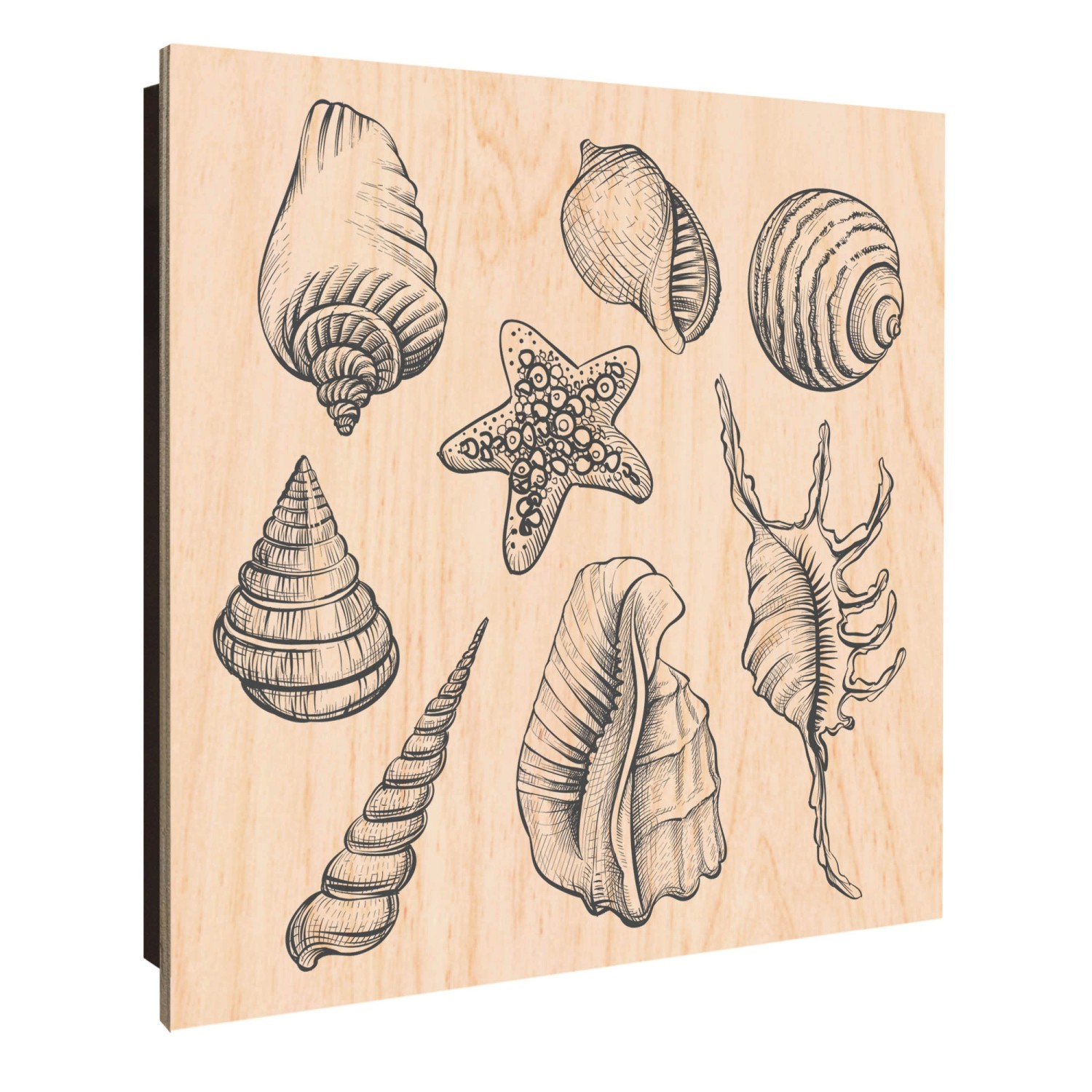 Banjado Großer Schlüsselkasten Holz 30x30cm Schwarz Scharnier Links 50 Hake günstig online kaufen