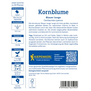 Kiepenkerl Kornblume Blauer Junge, Blumensamen für leuchtend blaue Blüten.