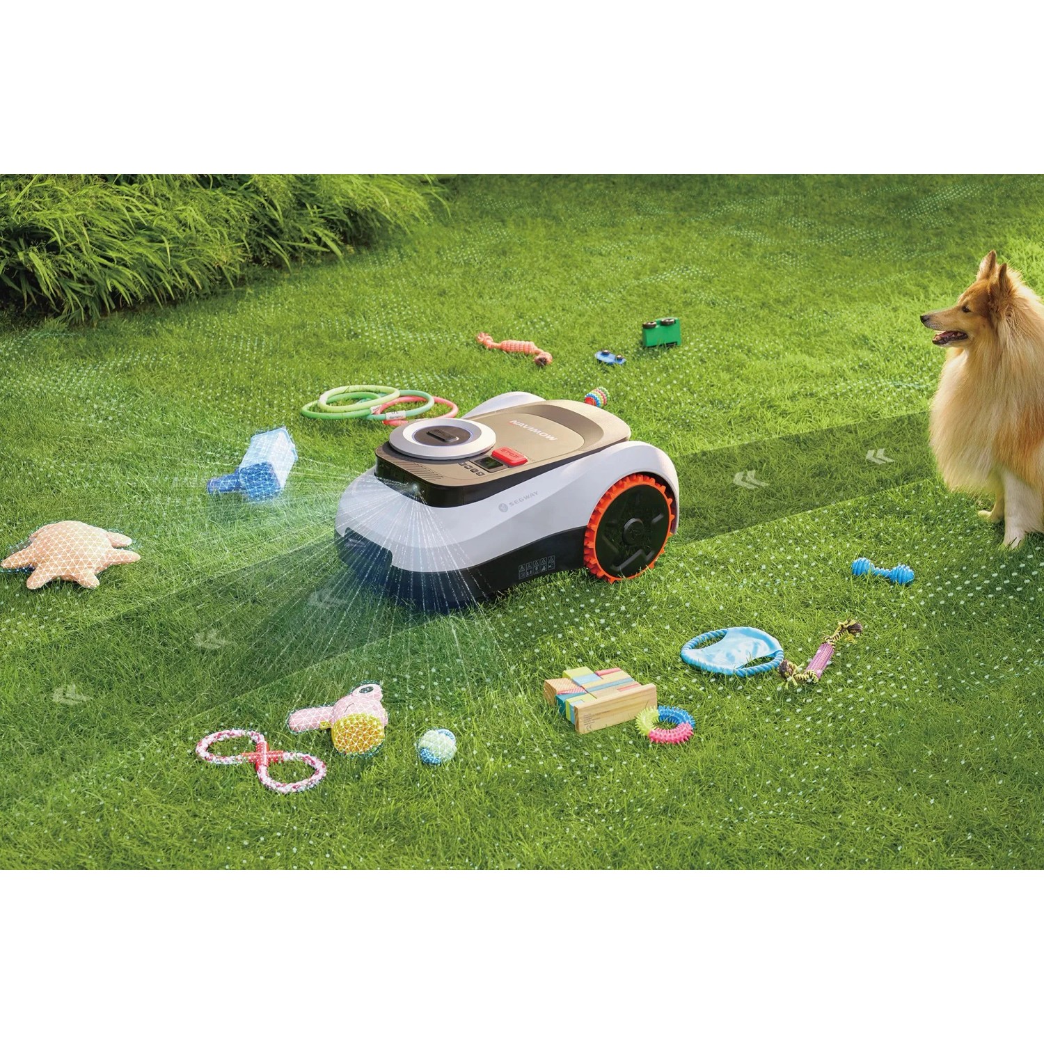 Segway Navimow i210E Mähroboter mit LiDAR auf Rasenfläche mit Hund und Spielzeug.