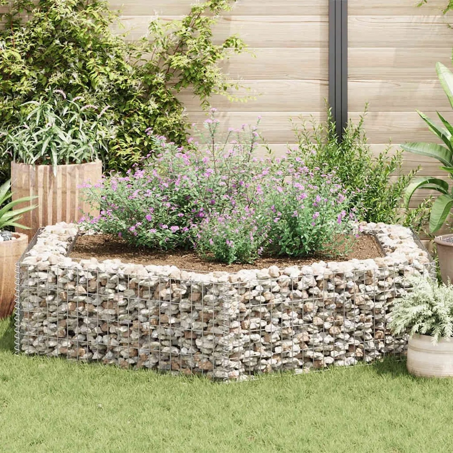 Sechseckiges Gabionen-Hochbeet (200x173x40 cm) mit Steinfüllung und Bepflanzung im Garten.