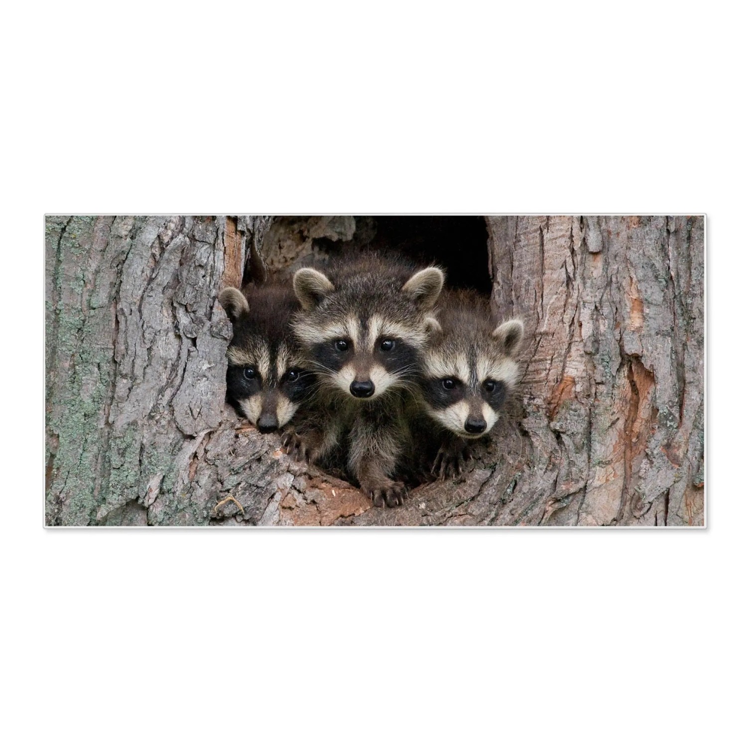 Banjado Magnettafel 78x37cm Magnetwand  Weiß Aus Metall Magnetpinnwand Pinn günstig online kaufen