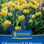 Kiepenkerl Blumenzwiebel Mix: Gelbe Narzissen und blaue Traubenhyazinthen, 20 Stück.