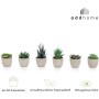 6er Set addhome Kunstpflanzen Sukkulenten in Töpfen mit Steinoptik, verschiedene Größen.