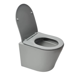 Graues, mattes Wand-WC mit offenem SoftClose WC-Sitz. Spülrandloses Design, kurze Ausladung, ideal für kleine Bäder.