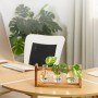 Relaxdays Reagenzglas Vase Glas Kiefernholz Natur Transparent mit Ständer 13 cm x 28 cm x 6,5 cm_3