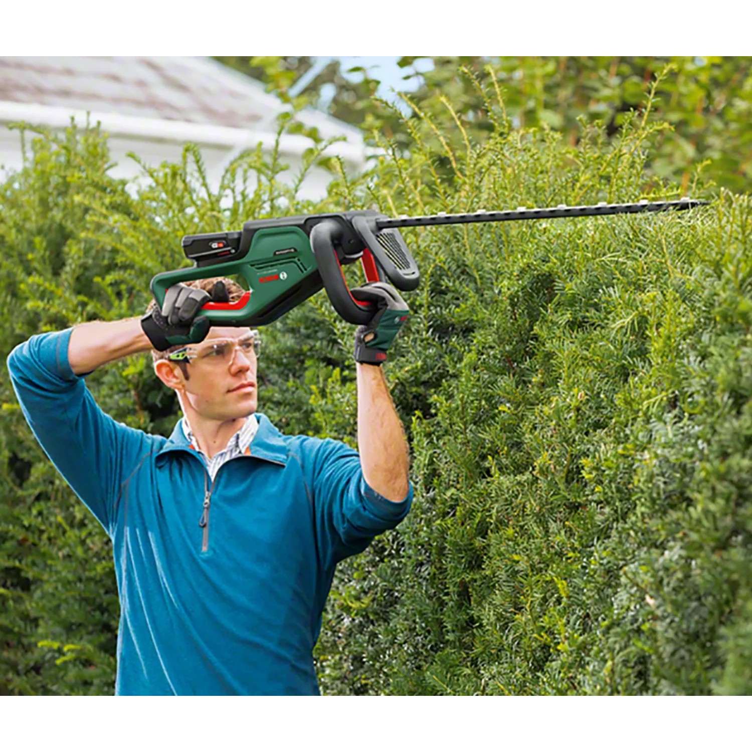 Mann schneidet Hecke mit Bosch Akku-Heckenschere UniversalHedgeCut 18-55. Heckenschneider im Einsatz.