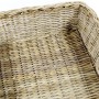 Kobolo Hundekorb aus Stabilem Rattan Geflochten mit Kissen Gr L 94Lx74B cm_5