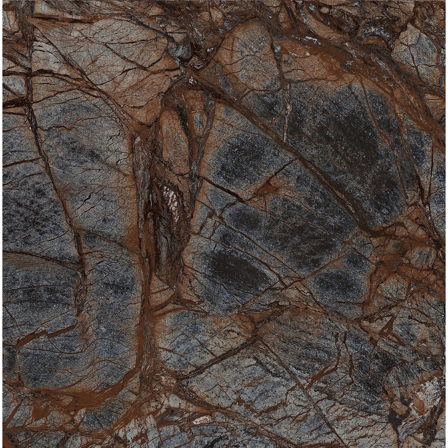 Bodenfliese Feinsteinzeug 60 cm x 60 cm günstig online kaufen