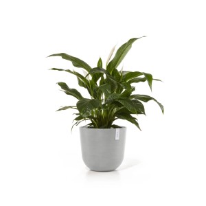 Ecopots Pflanztopf Oslo, weißgrau, 45 cm, mit grüner Pflanze. Ideal für Innen- und Außenbereiche.