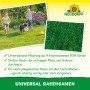Neudorff Universal-Rasensamen: Kinder und Hund spielen auf dichtem, grünen Rasen.