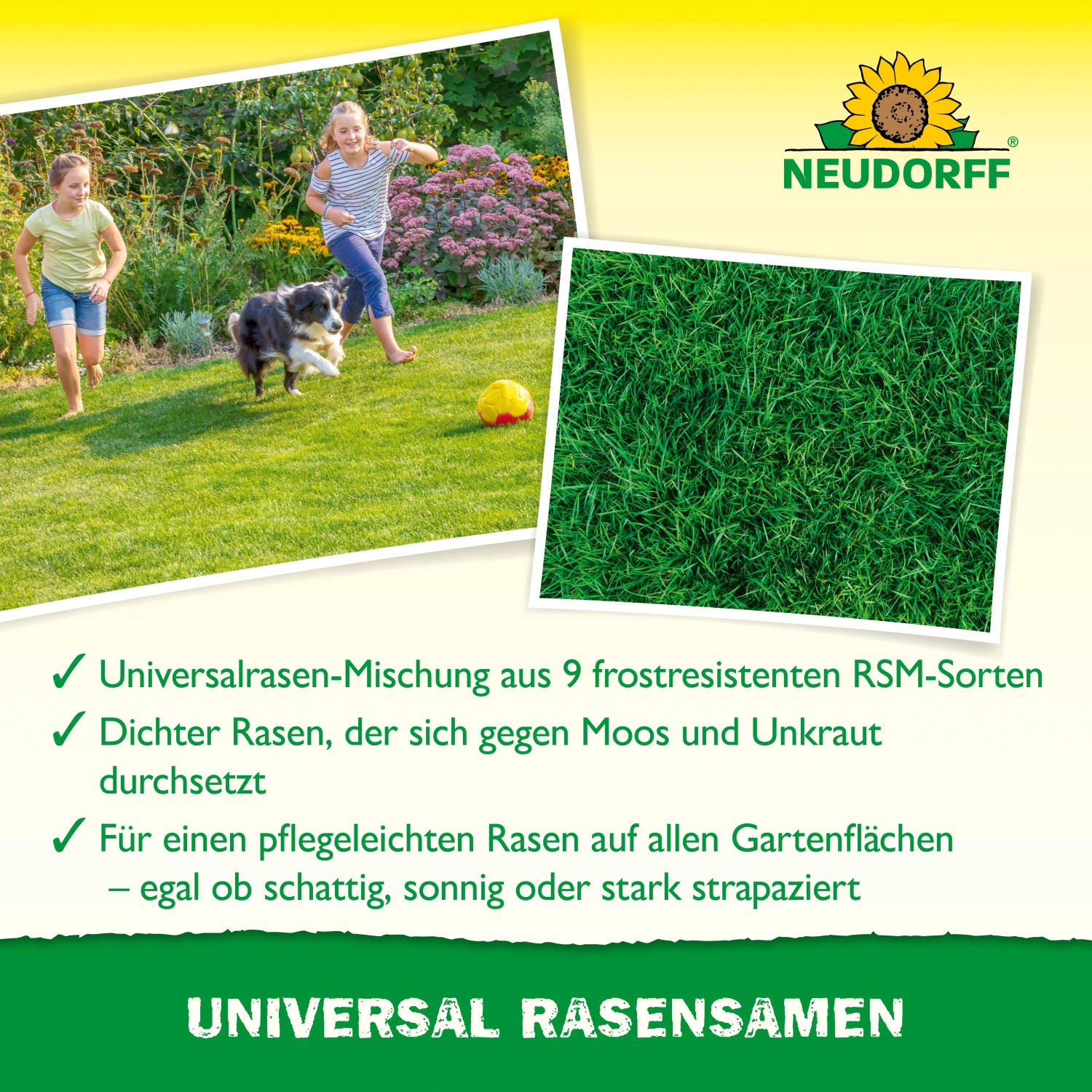 Neudorff Universal-Rasensamen: Kinder und Hund spielen auf dichtem, grünen Rasen.