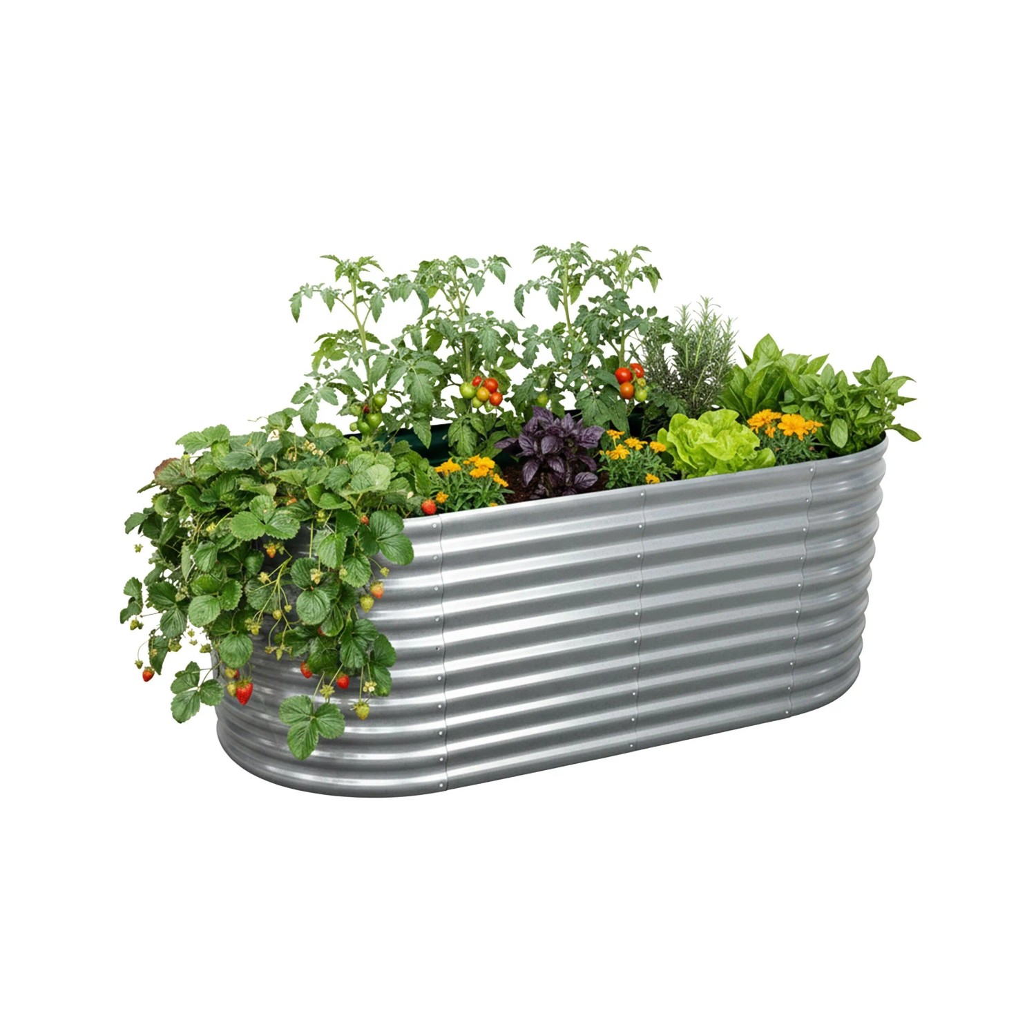 Relaxdays Hochbeet Metall Silber Halbrund 80 cm x 160 cm x 80 cm