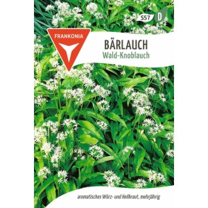 FRANKONIA Bärlauch Wald-Knoblauch