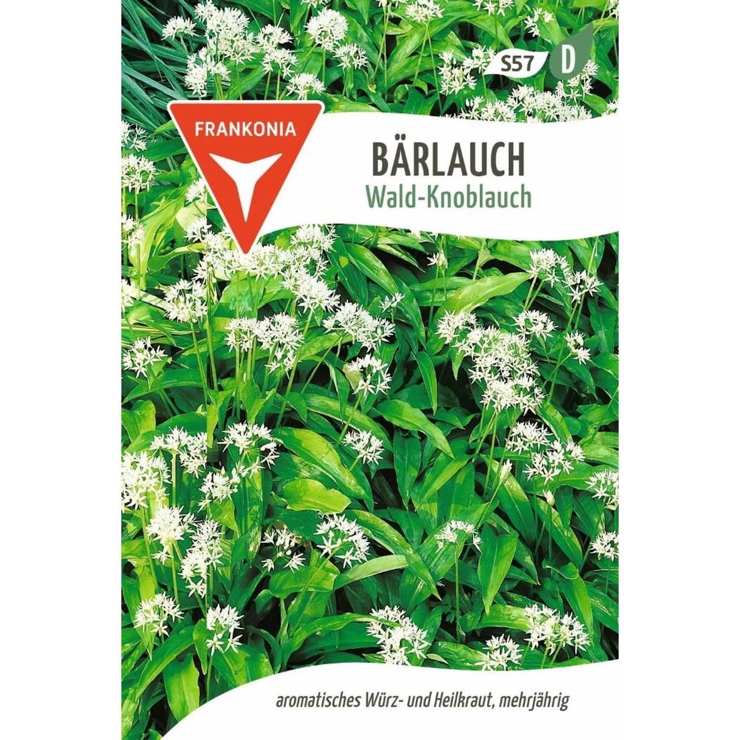FRANKONIA Bärlauch Wald-Knoblauch