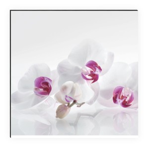 MySpotti Küchenrückwand mit Orchideen-Motiv in Lila und Weiß, 100x60 cm.