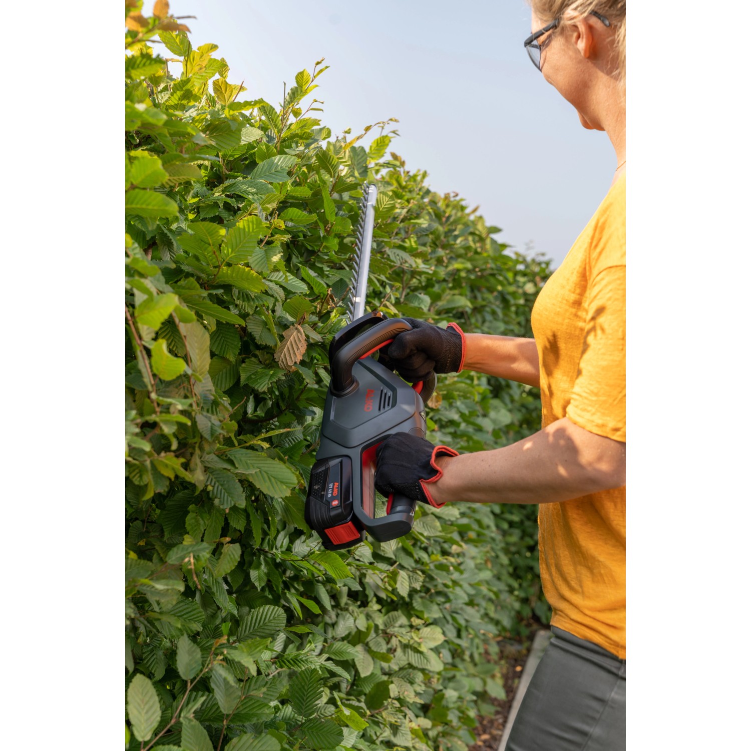 Al-Ko Akku-Heckenschere HT 1845 im Einsatz beim Heckenschneiden. Inkl. Akku, kompatibel mit Bosch.