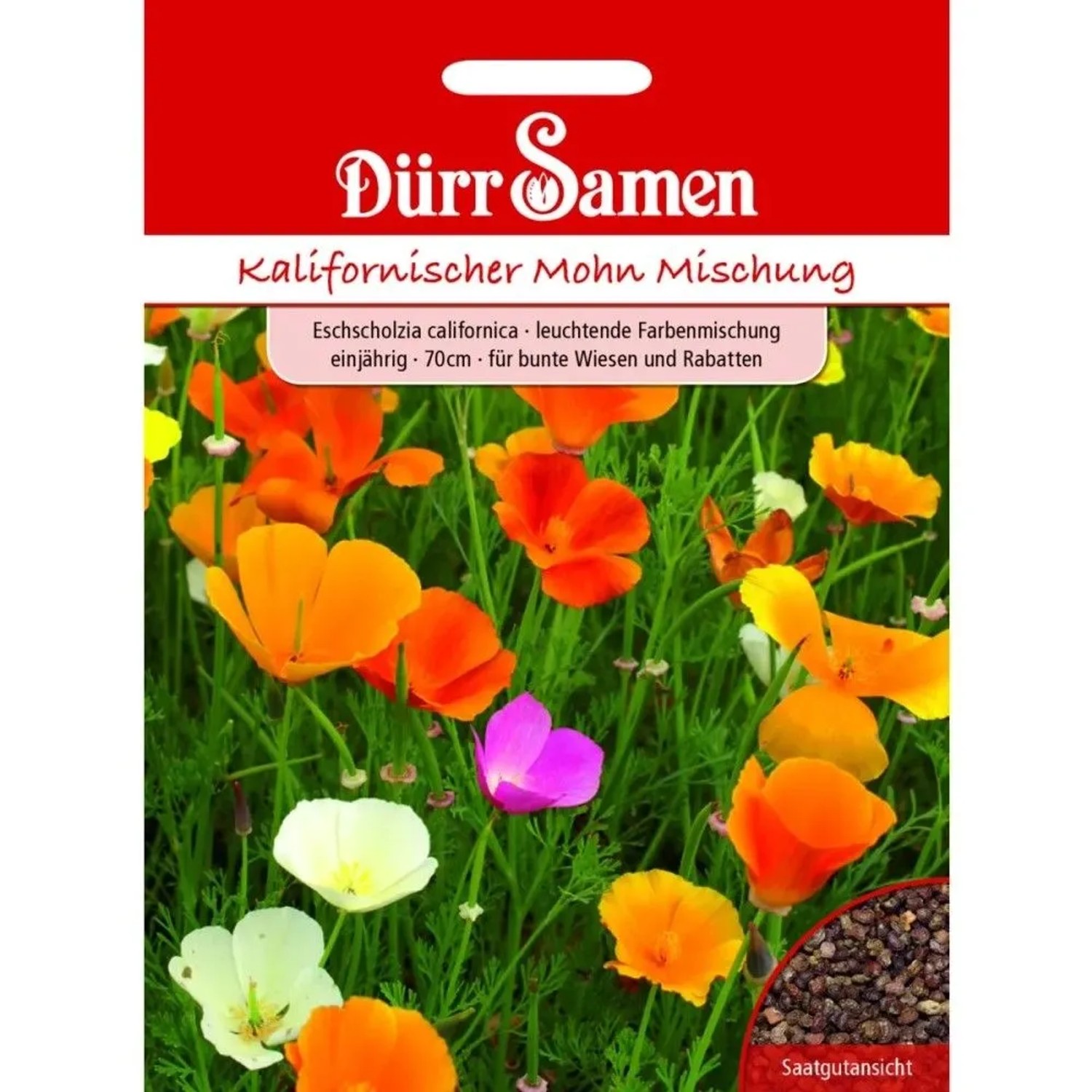 Dürr Samen Kalifornischer Mohn Leuchtende Farbmischung Einjährig Saatgut