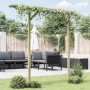 DELUKE Pergola Aus Holz LURV 2x2m Kiefernholz Rankhilfe Pergola Holz Bausatz Freistehend Gartendeko Gartenbogen Gartenpergola_2