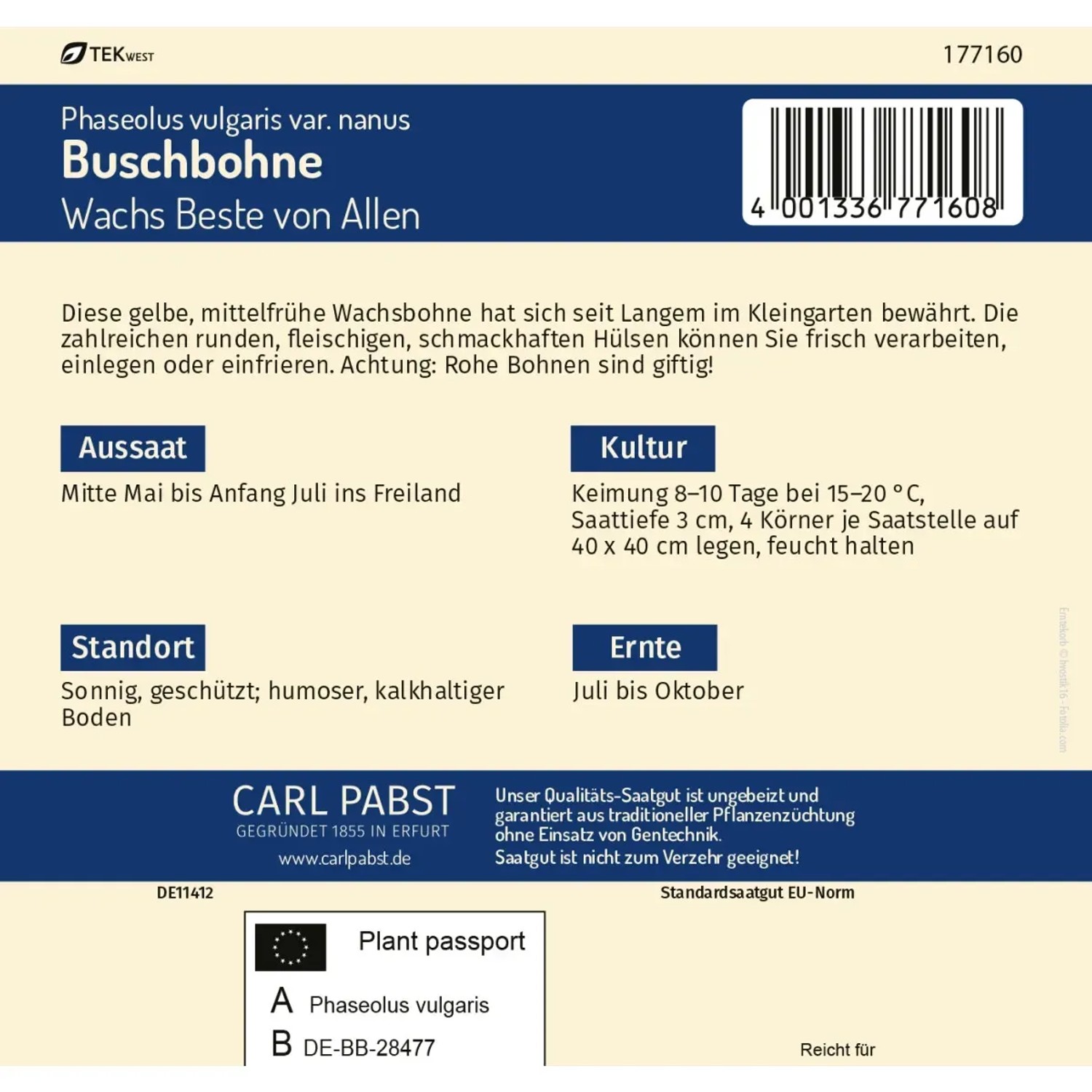 Saatguttüte Pabst Keimkraft Buschbohne Wachs Beste von Allen, Gemüsesamen für ca. 50 Pflanzen.