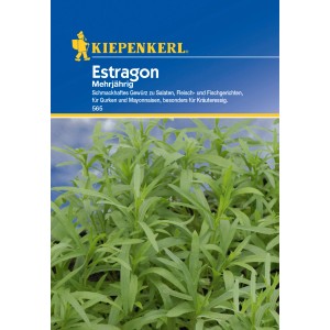 Kiepenkerl Estragon mehrjährig, Kräutersamen für aromatische Gerichte und Kräuteressig.