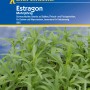 Kiepenkerl Estragon mehrjährig, Kräutersamen für aromatische Gerichte und Kräuteressig.