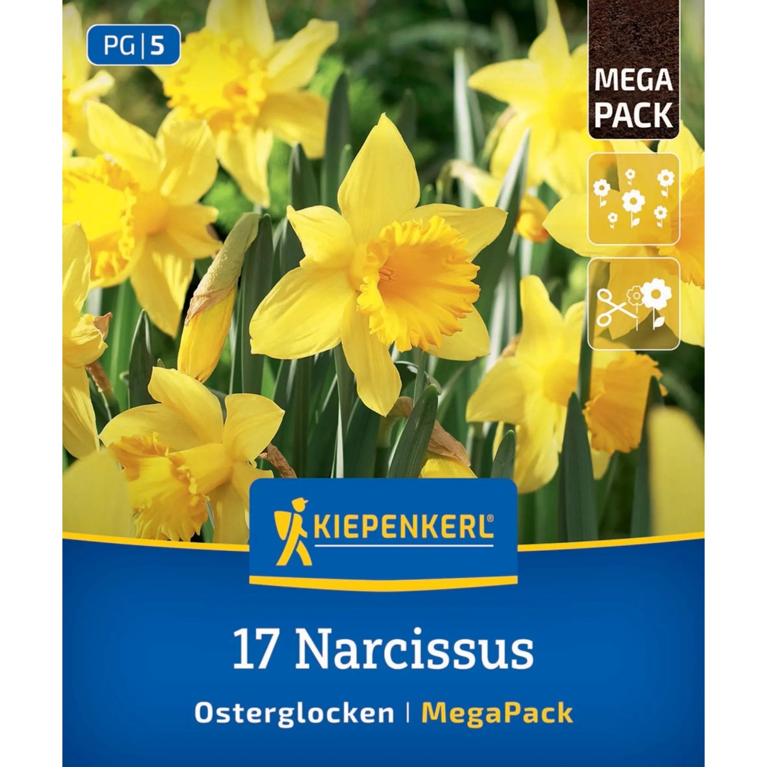 Kiepenkerl Blumenzwiebel Mega-Pack Narzissen Osterglocken 17 Stück