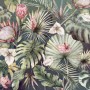 Komar Fototapete Vlies Monsterawelt 300x280cm mit tropischen Blättern und Blüten.