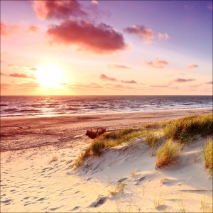 Glasbild Sea Harmony, 30x30 cm: Sonnenuntergang am Strand mit Dünen und Meer.
