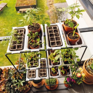 Bellissa Anzuchtwanne Filo 2er-Set aus Edelstahl mit Pflanzen im Pflanzregal.