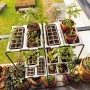 Bellissa Anzuchtwanne Filo 2er-Set aus Edelstahl mit Pflanzen im Pflanzregal.
