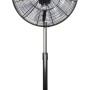 Schwarzer CASAFAN Standventilator Airos Eco Silent mit Fernbedienung.