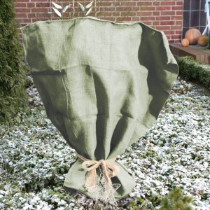 Schilfgrüner Jutesack als Winterschutz für Pflanzen, unten mit Kordel gebunden, im frostigen Garten.