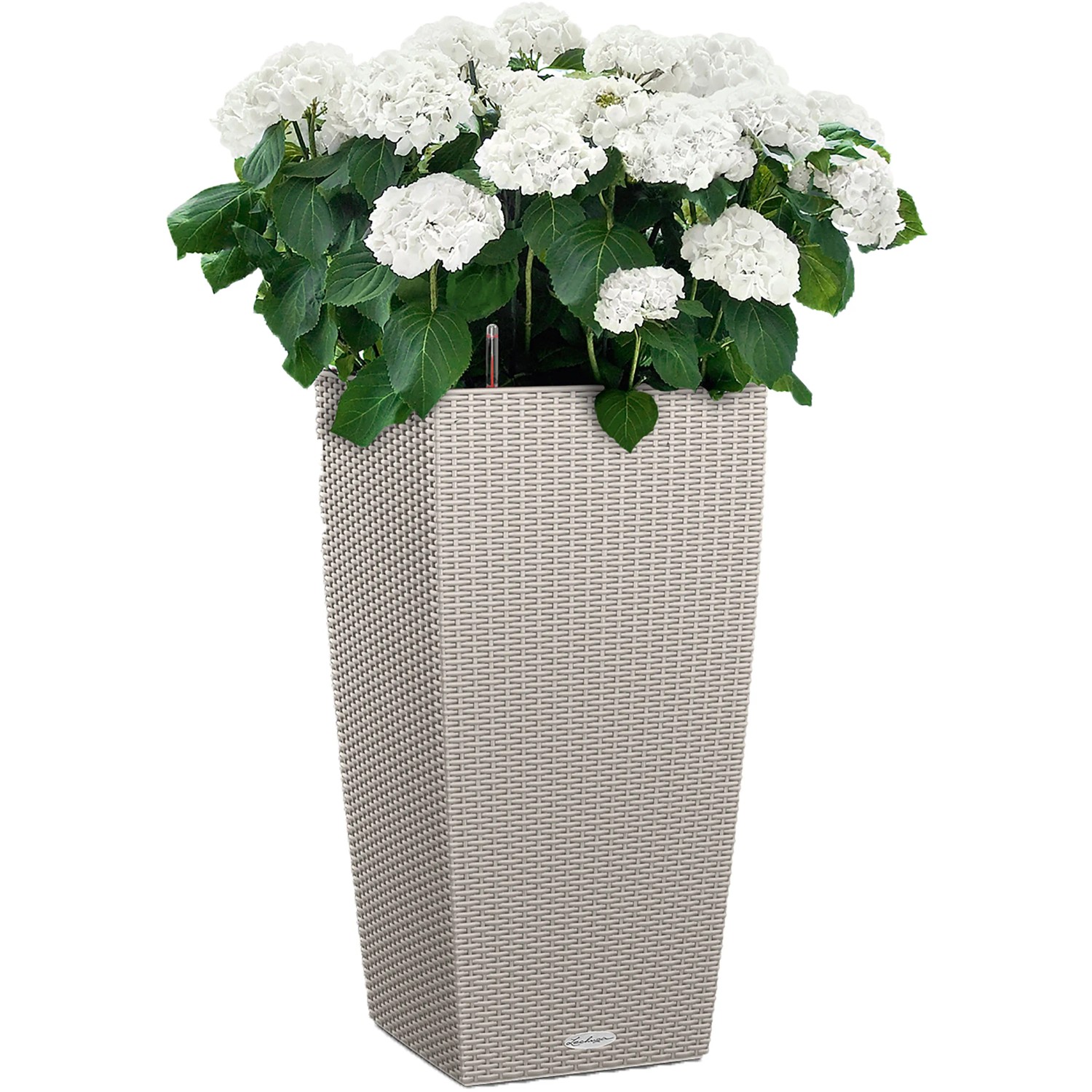Lechuza Cubico Cottage Pflanzsäule, 30x30x56 cm, sandbraun, mit weißer Hortensie bepflanzt.