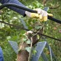 Wiltec Sägebock Klappbar 4 Stammhalter Verzinkt Holzsägebock Sägehilfe Zahnung_2